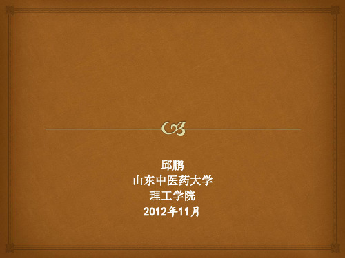 医学虚拟现实与临床医疗(PPT 78页)