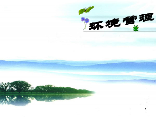 环境管理ppt课件