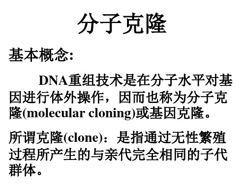 分子克隆