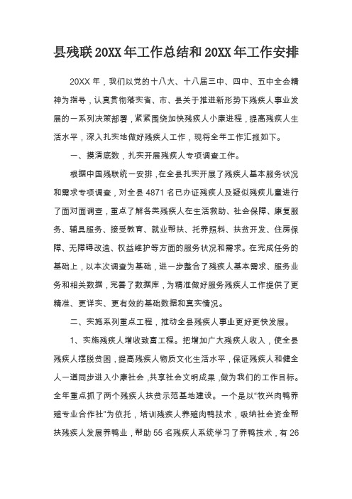 县残联20XX年工作总结和20XX年工作安排