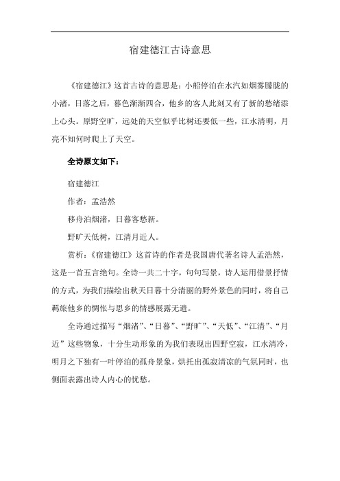 宿建德江古诗意思