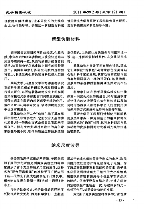 纳米尺度波导