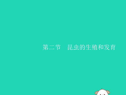 八年级生物下册第七单元生物圈中生命的延续和发展第一章生物的生殖和发育第二节昆虫的生殖和发育课件