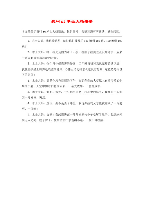 我叫mt术士大妈语录