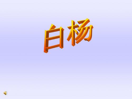 3.白杨PPT