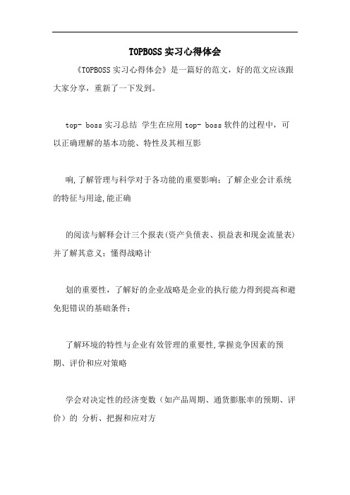 TOPBOSS实习心得体会