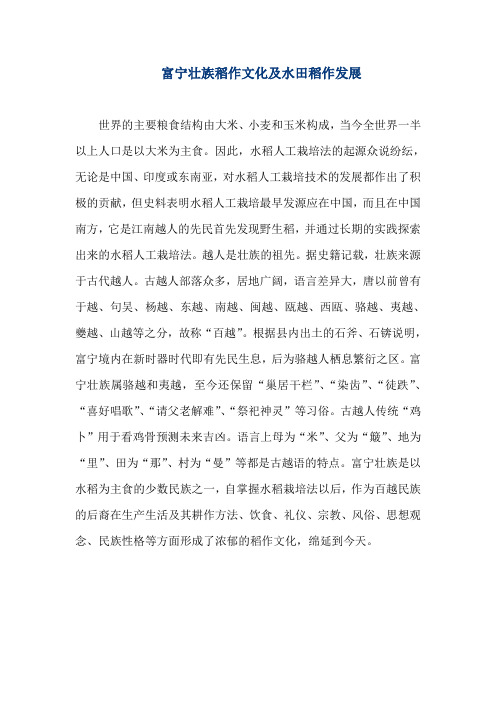 富宁壮族稻作文化及水田稻作发展