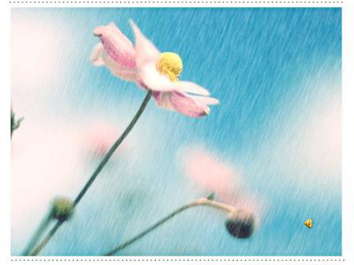 下雨天,真好胡涛涛PPT课件