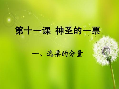 第十一课 神圣的一票
