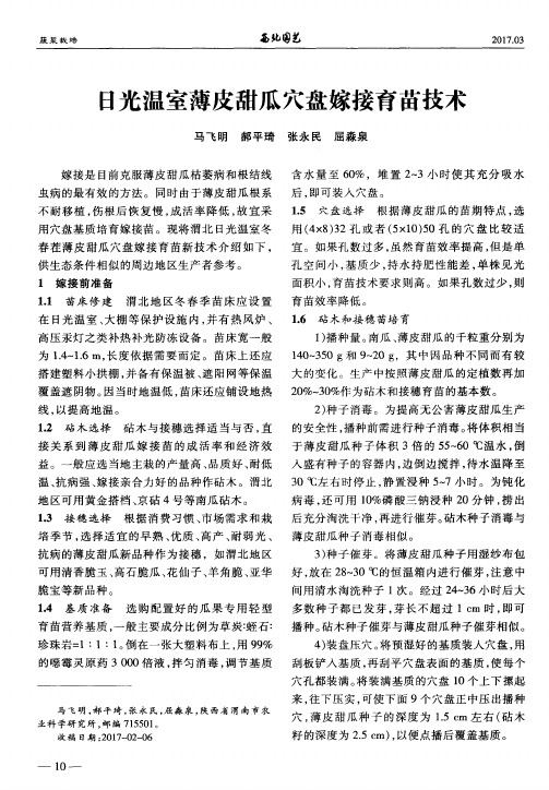 日光温室薄皮甜瓜穴盘嫁接育苗技术