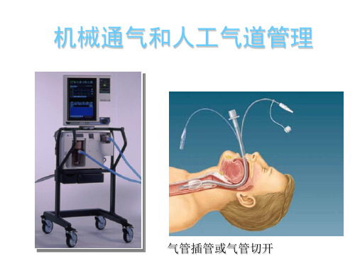 肺泡毛细血管膜结构