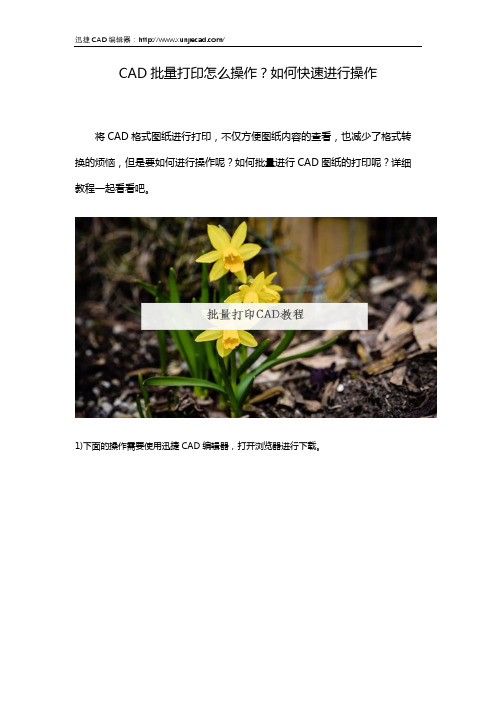 CAD批量打印怎么操作？如何快速进行操作