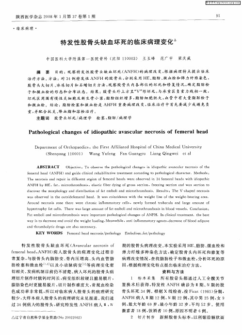 特发性股骨头缺血坏死的临床病理变化