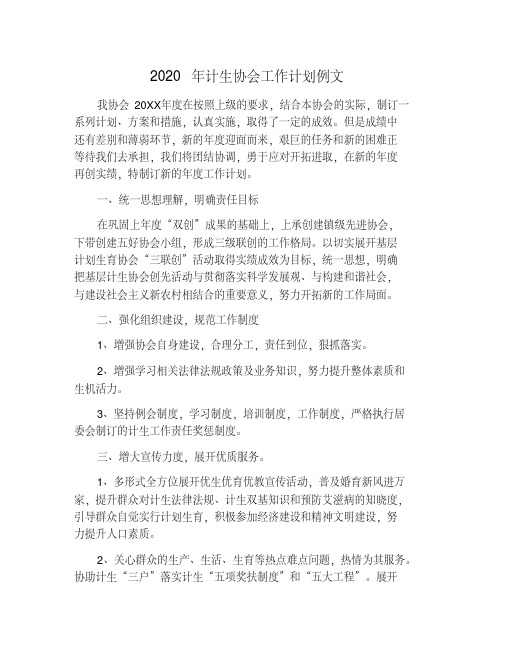 2020年计生协会工作计划例文