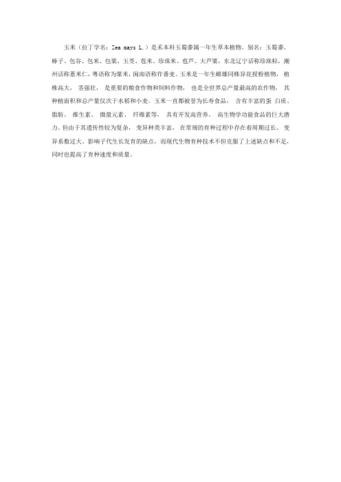 玉米