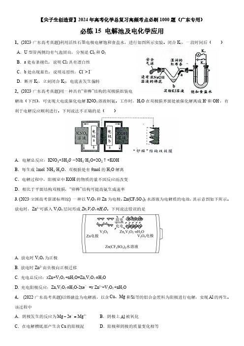 2024年广东省高考化学总复习高频考点必刷题15 电解池及电化学应用含详解