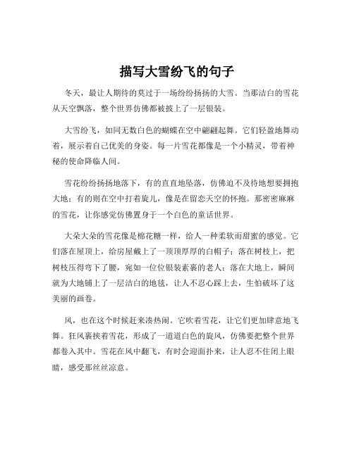描写大雪纷飞的句子