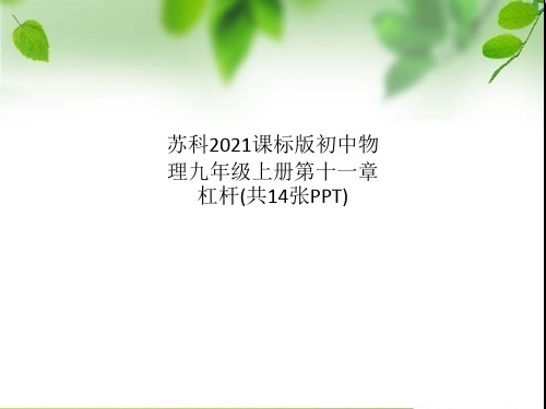 苏科2011课标版初中物理九年级上册第十一章杠杆(共14张PPT)