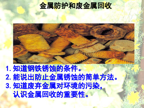 沪教版初中化学九上 5.3 金属防护和废金属回收 课件