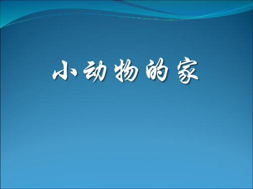 《小动物的家》寻访校园里的动植物PPT课件二