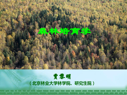 03第三章 林分结构Y