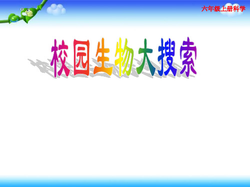 【名师课件】教科版六年级上册科学 4-1校园生物大搜索