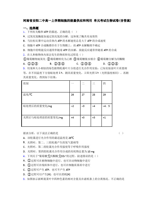 河南省安阳二中高一上学期细胞的能量供应和利用 单元考试生物试卷(含答案)