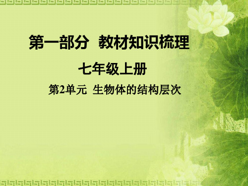 江苏中考生物复习：生物体的结构层次ppt(2份) 苏教版
