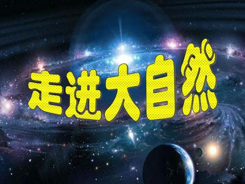 粤教粤科版小学科学 精品课件【全册课件】全套14课【精品】