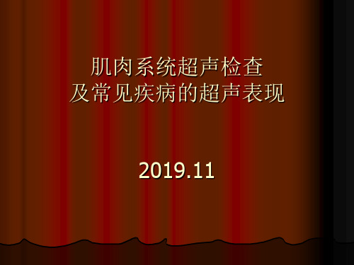 肌肉系统超声检查及常见疾病超声表现ppt课件