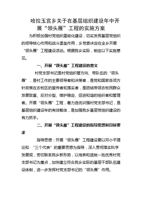 领头雁工程实施方案
