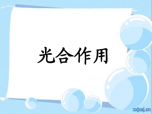 光合作用