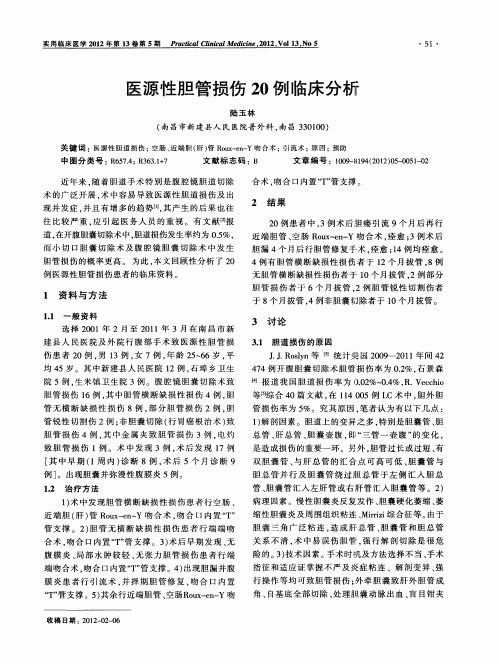 医源性胆管损伤20例临床分析