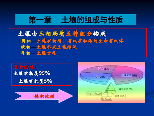 1-1第一章土壤的组成与性质-矿物质