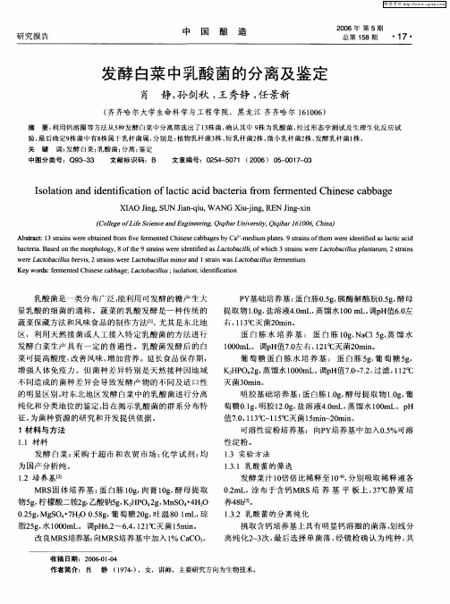 发酵白菜中乳酸菌的分离与鉴定