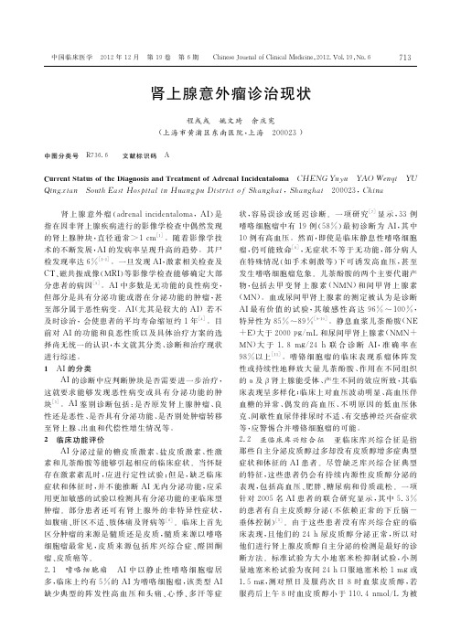 肾上腺意外瘤诊治现状_程彧彧