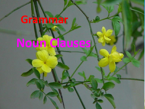 人教高中英语必修3Unit5Grammar(共23张PPT)