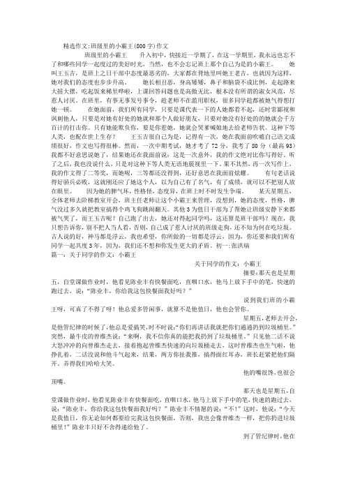 班级里的小霸王(800字)作文