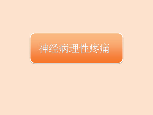 普瑞巴林ppt课件