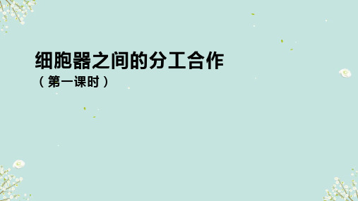 3.2细胞器之间的分工合作(第一课时)课件高一上学期生物人教版必修1