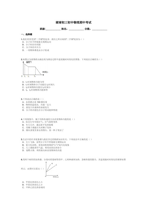 湖南初三初中物理期中考试带答案解析
