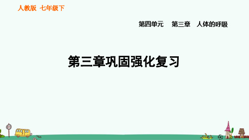 第三章《人体的呼吸》复习课件 人教版七年级生物下册