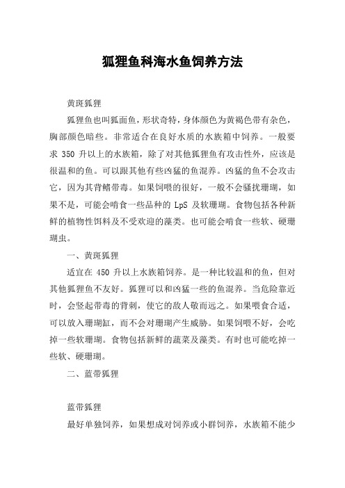 狐狸鱼科海水鱼饲养方法