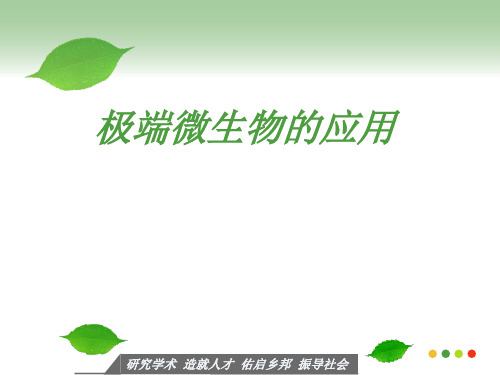 极端微生物的应用