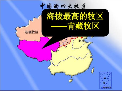 海拔最高的牧区青藏牧区课件