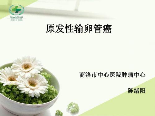 输卵管癌1