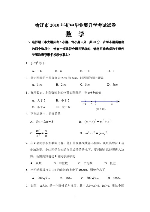 2010年江苏宿迁中考数学试卷及答案(WORD版)