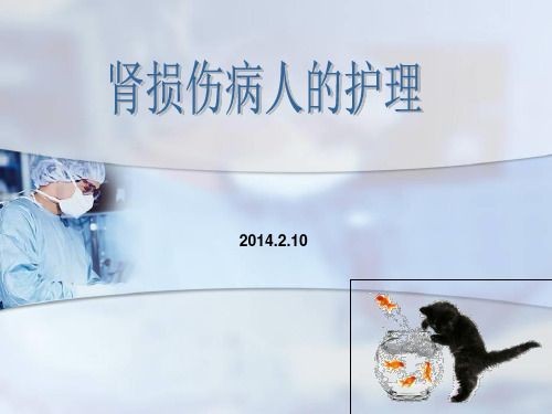 肾损伤病人的护理PPT课件