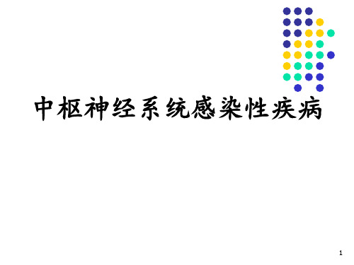 病理学流脑 乙脑 ppt课件
