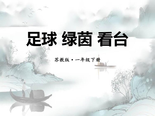 《足球 绿茵 看台》PPT演示课件